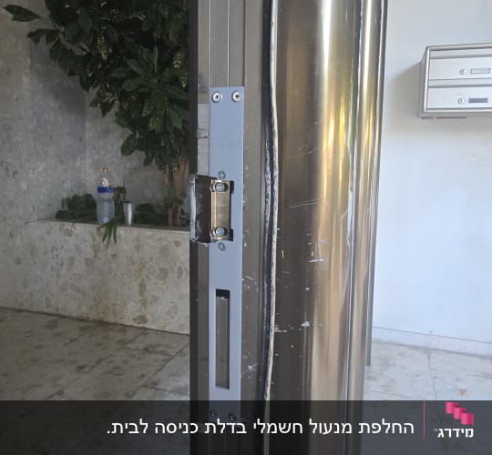 מנעול מותקן על דלת מתכת עם צמח ברקע